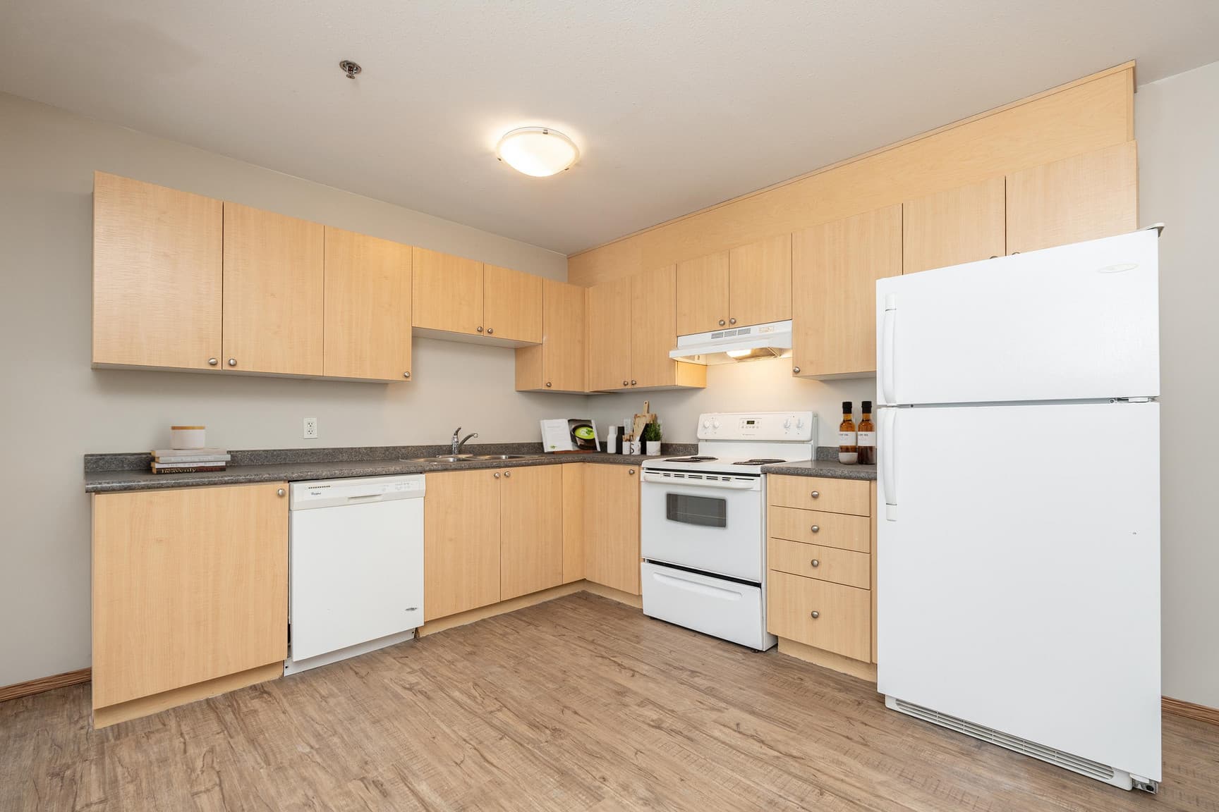 River Meadow Estates — One Bedroom One Bath - Photo 5
