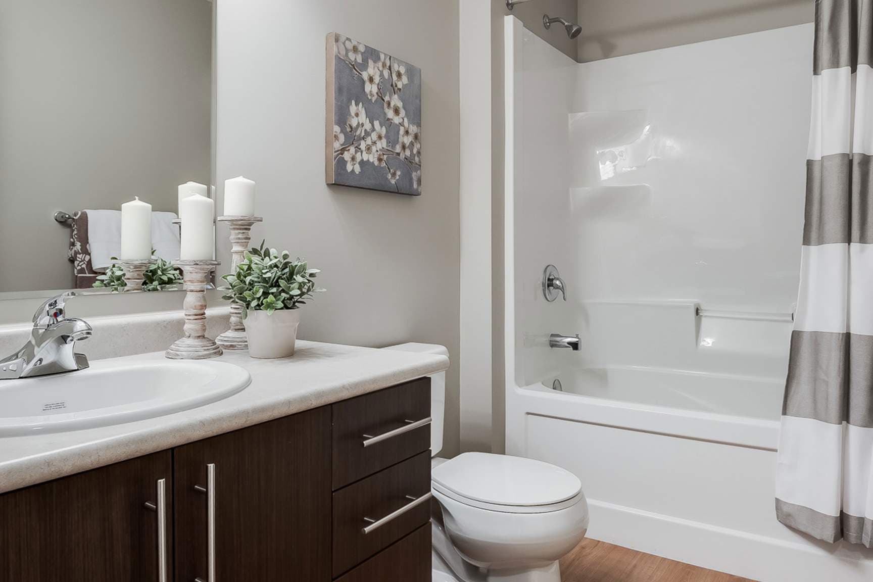 Vista Pointe — Two Bedroom One Bath - Photo 6