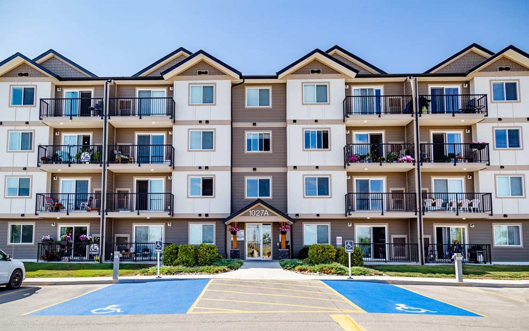 Selkirk Meadows — One Bedroom One Bath - Photo 2