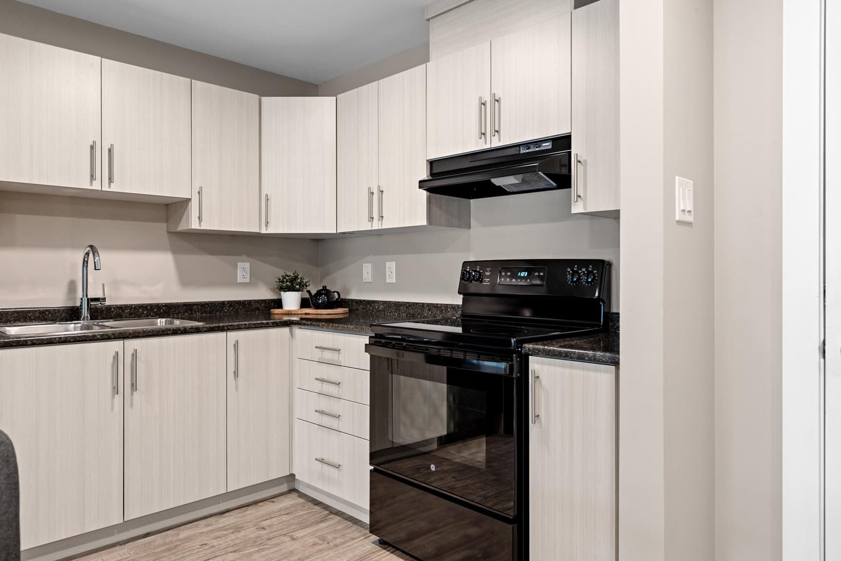 Blackstone Village — Two Bedroom Two Bath - Photo 11