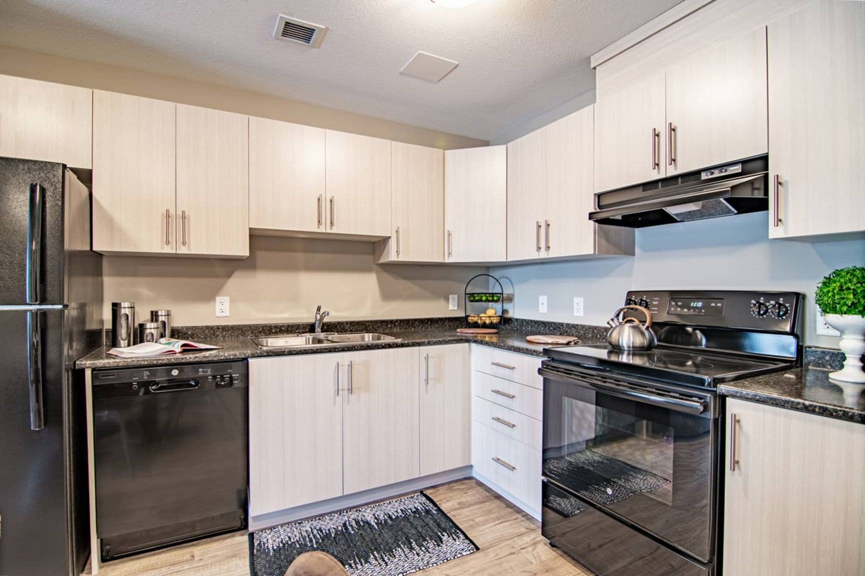 Laredo Grande — Two Bedroom Two Bath - Photo 8