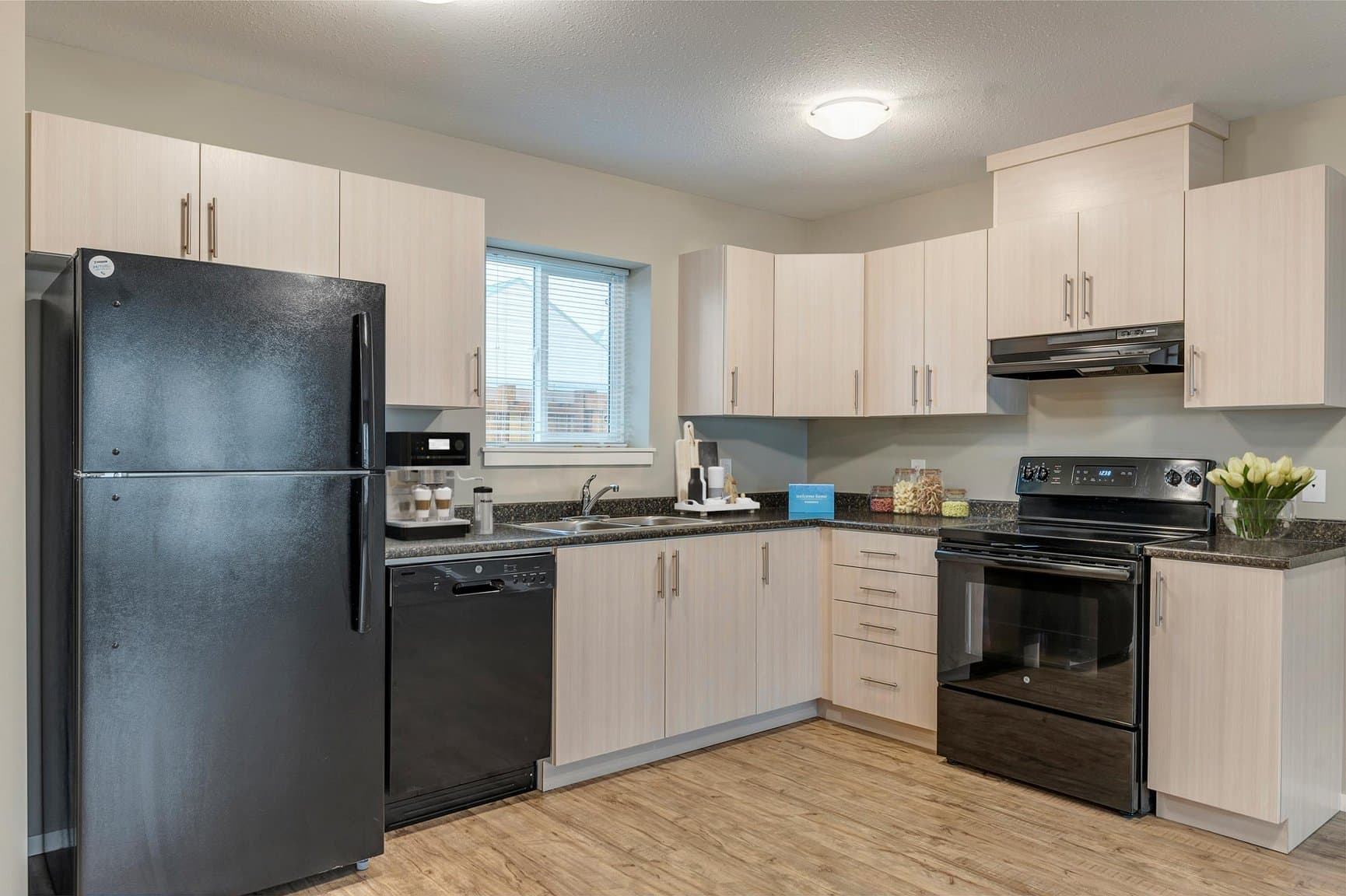 Crestview Townhomes — Three Bedroom 1.5 Bath - Photo 3