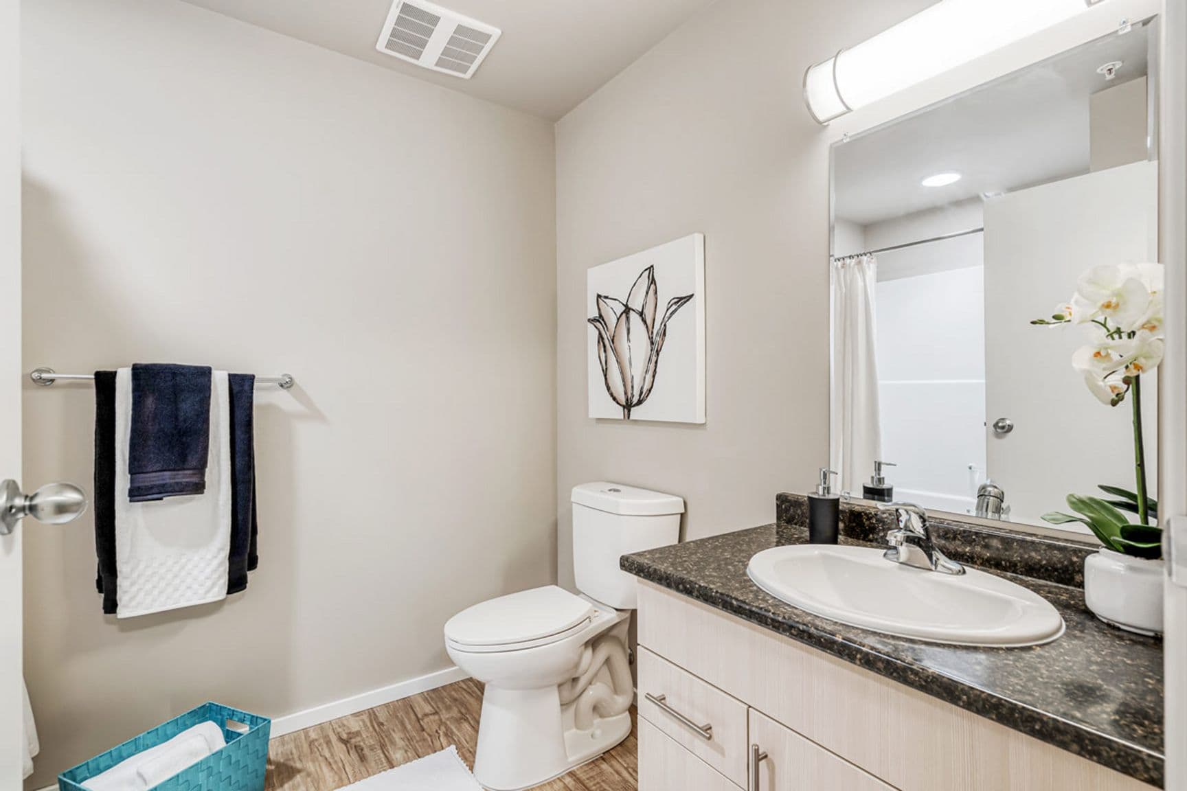 Lakecrest Apartments — One Bedroom One Bath - Photo 9
