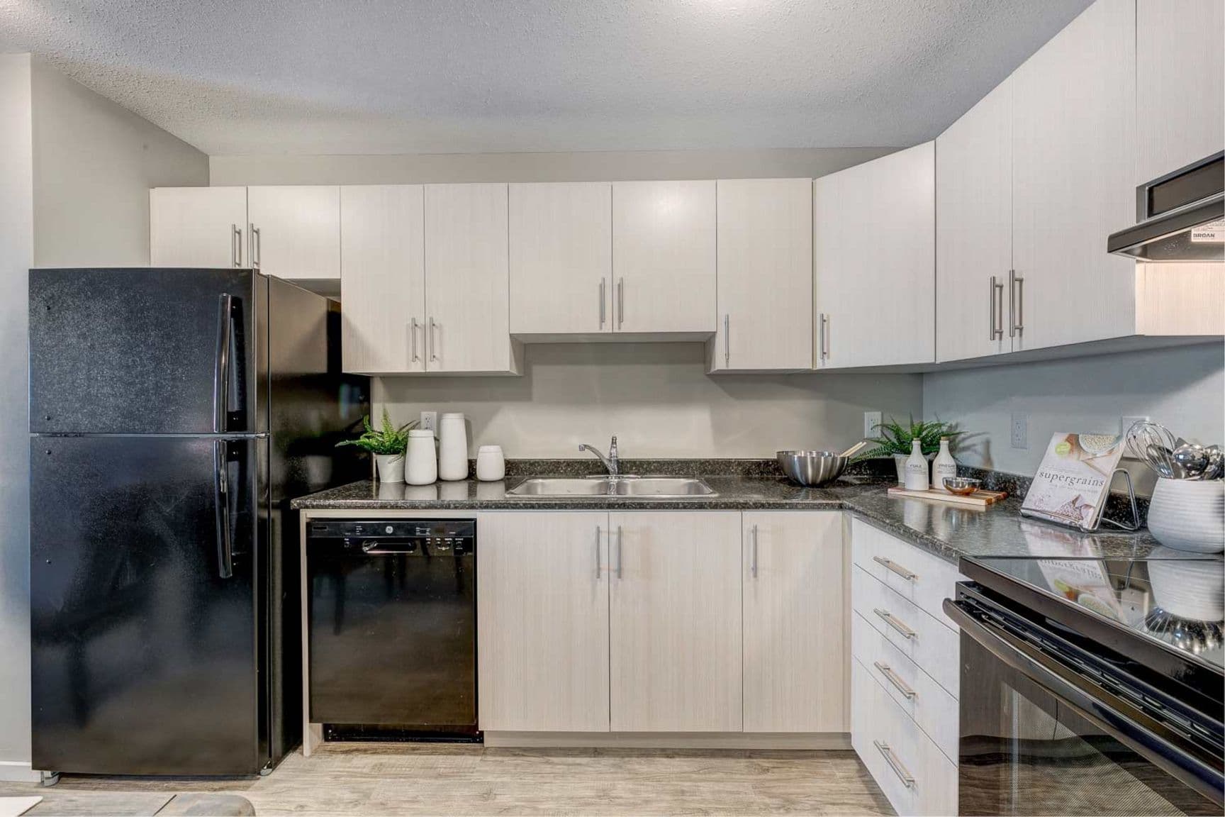 Aspen Greens — Two Bedroom Two Bath - Photo 5