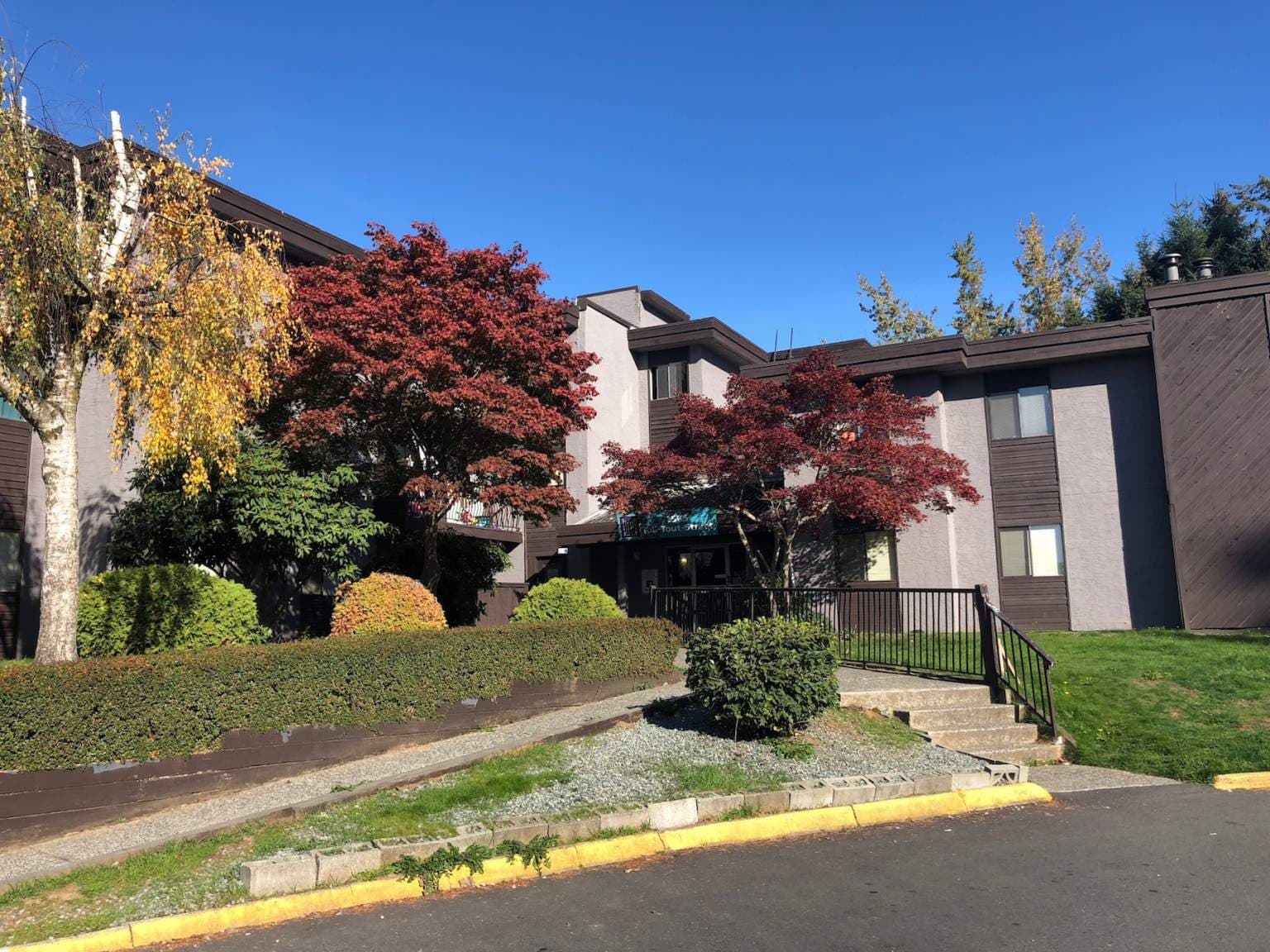 Pinetree Apartments — 1 bedroom - Photo 1