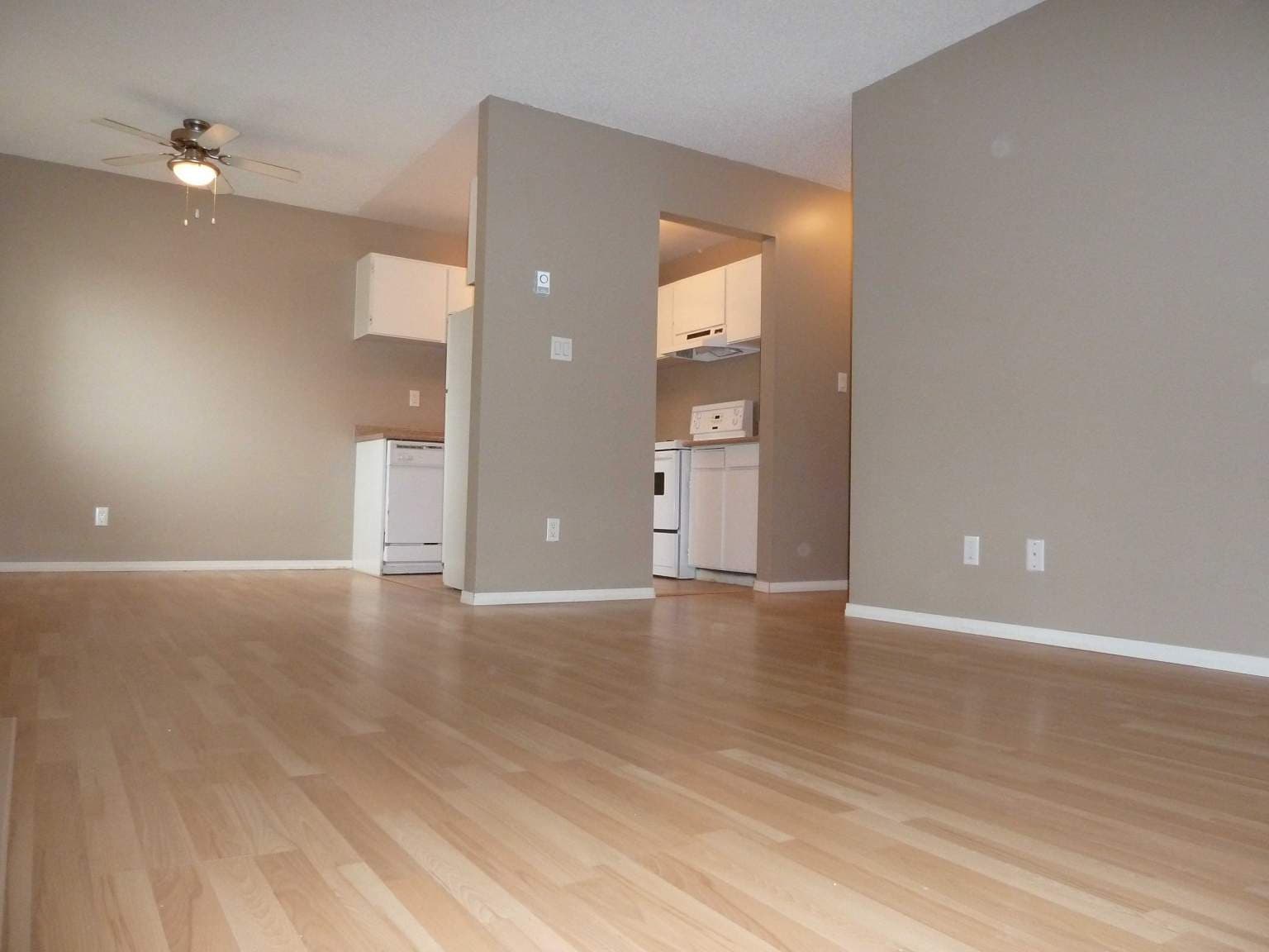 Pinetree Apartments — 1 bedroom - Photo 4