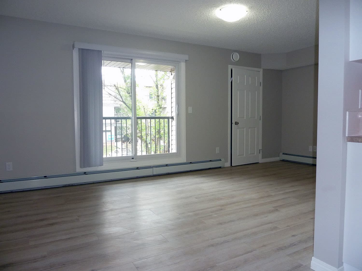 Windsor Green - Photo 12