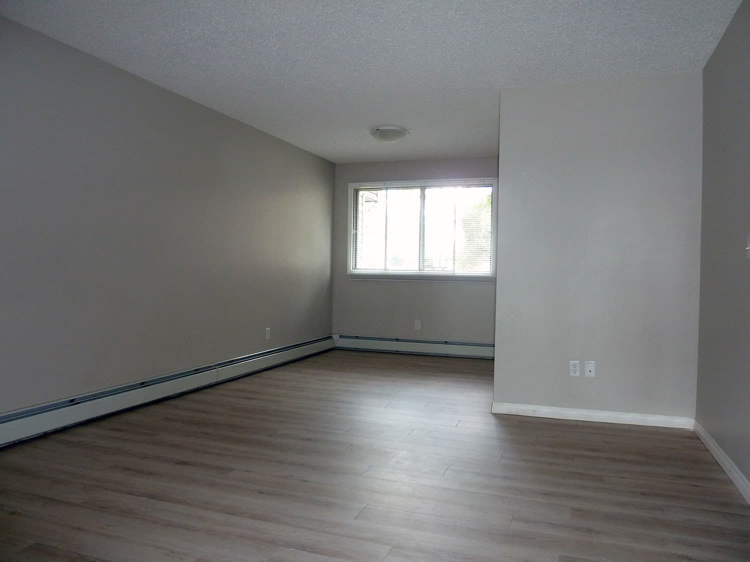 Windsor Green - Photo 15