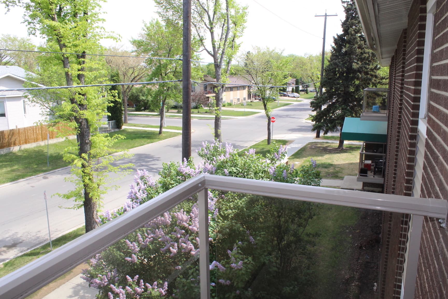Willow Apartments - Photo 12