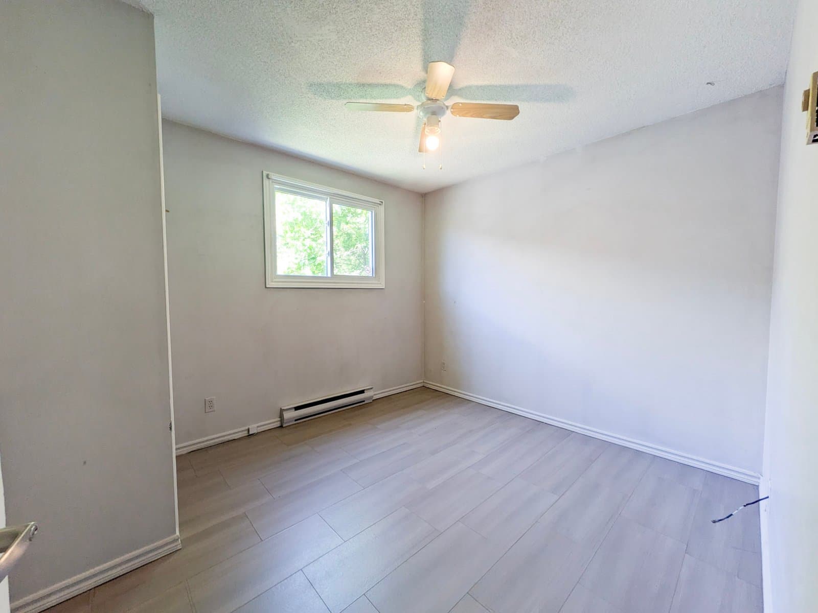 Blackline Management — Student Rentals - Photo 12