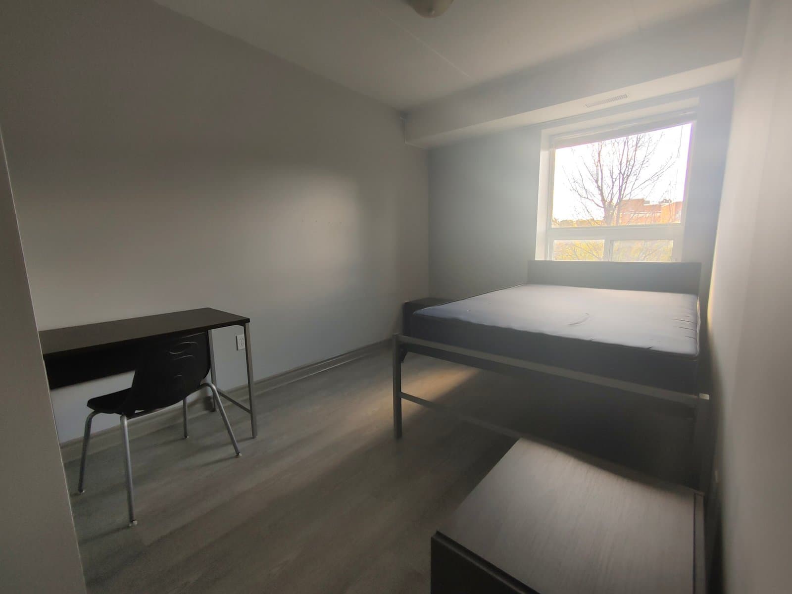 Blackline Management - Photo 12