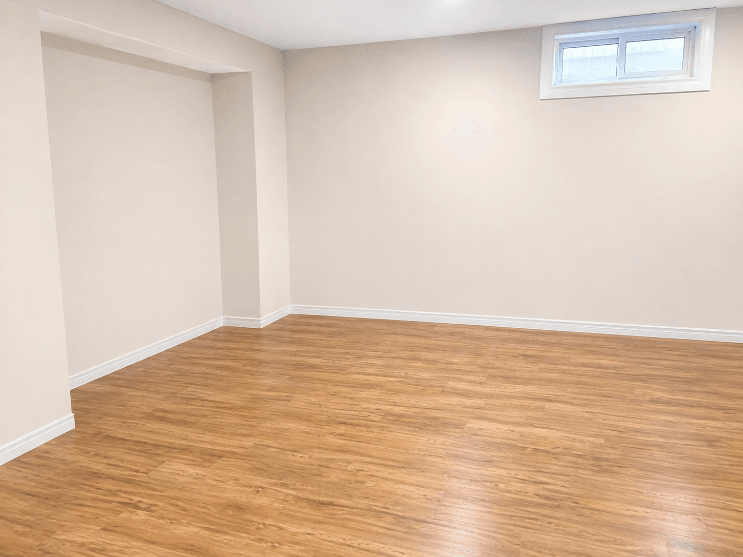 245 Thorner Drive - Basement - Photo 5