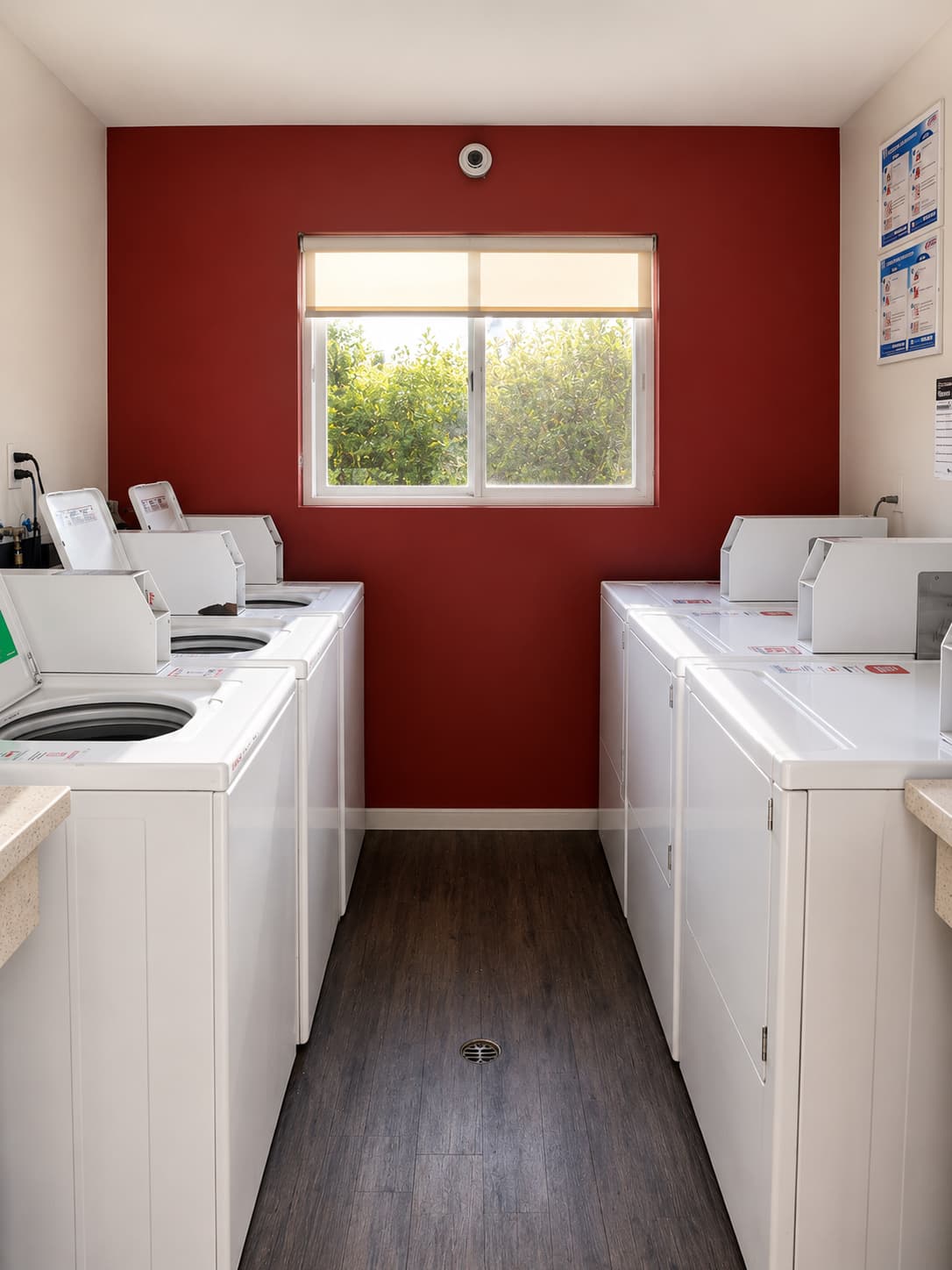 14851 Vanowen Studio Sandra - Photo 4