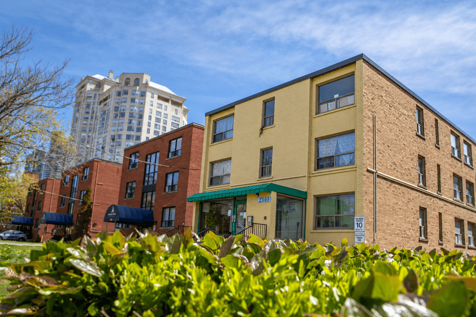 206 - Lakeshore Blvd W