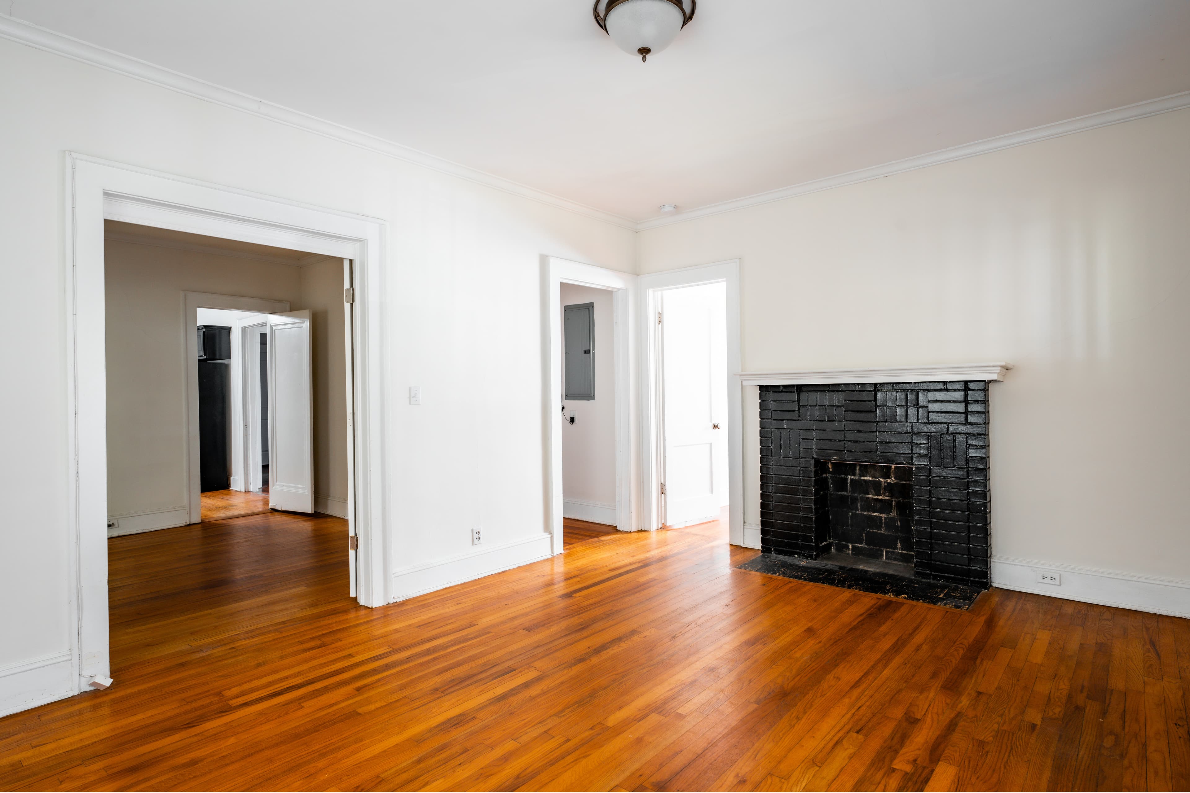 195 Flora - Photo 4