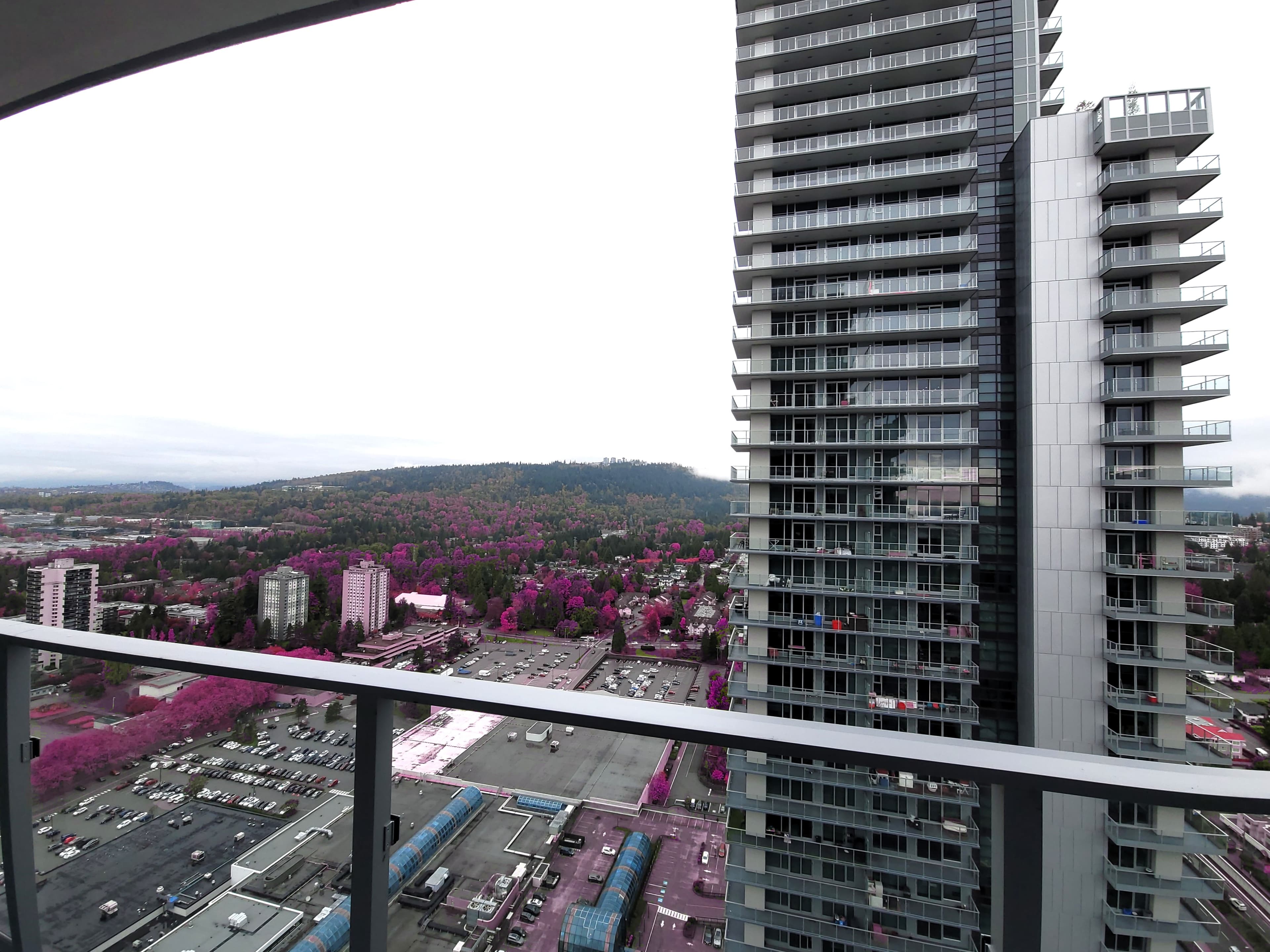3911-3833 Evergreen Place - Photo 7