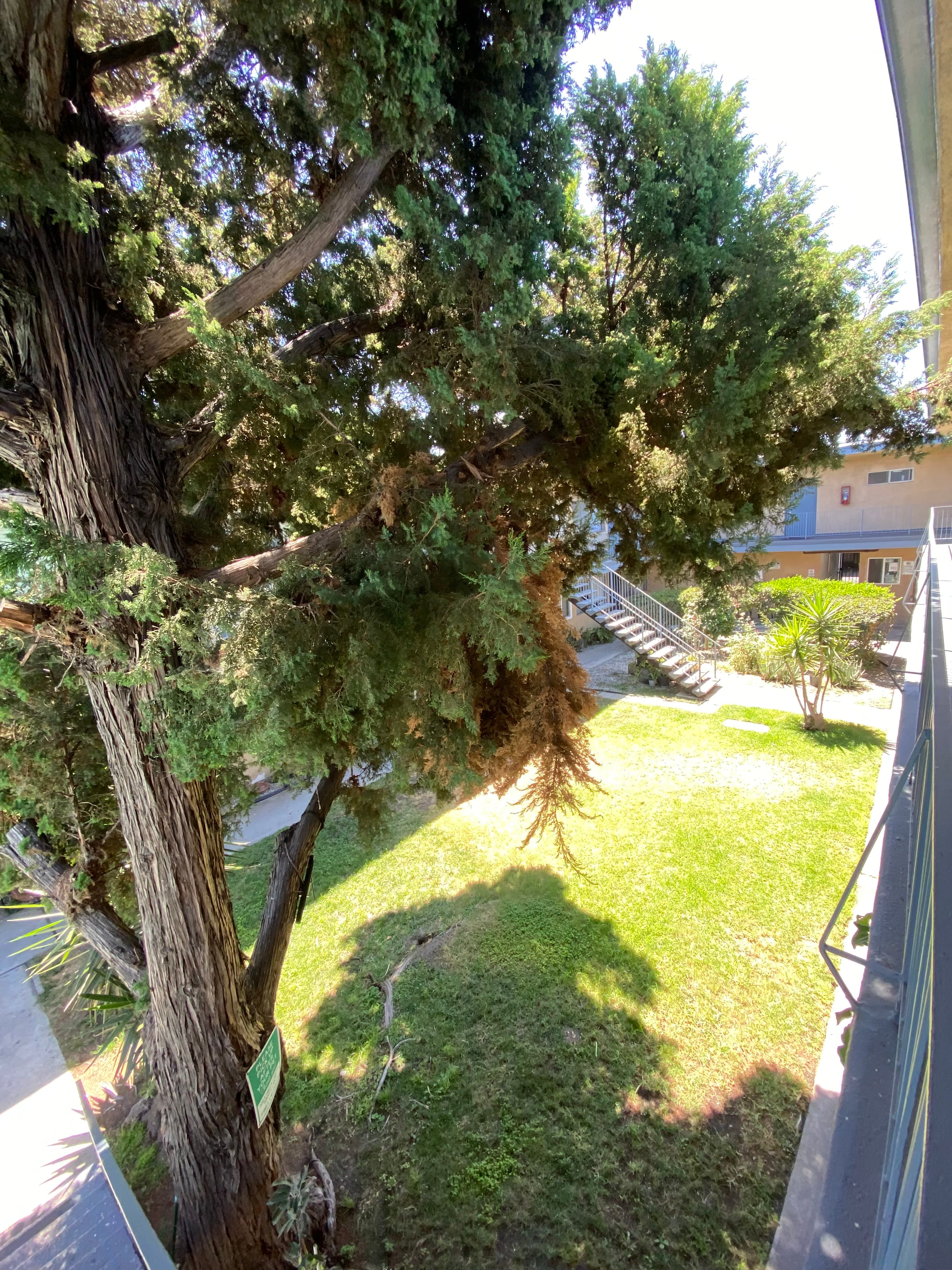 11808 Kittridge St 2BR - Photo 23