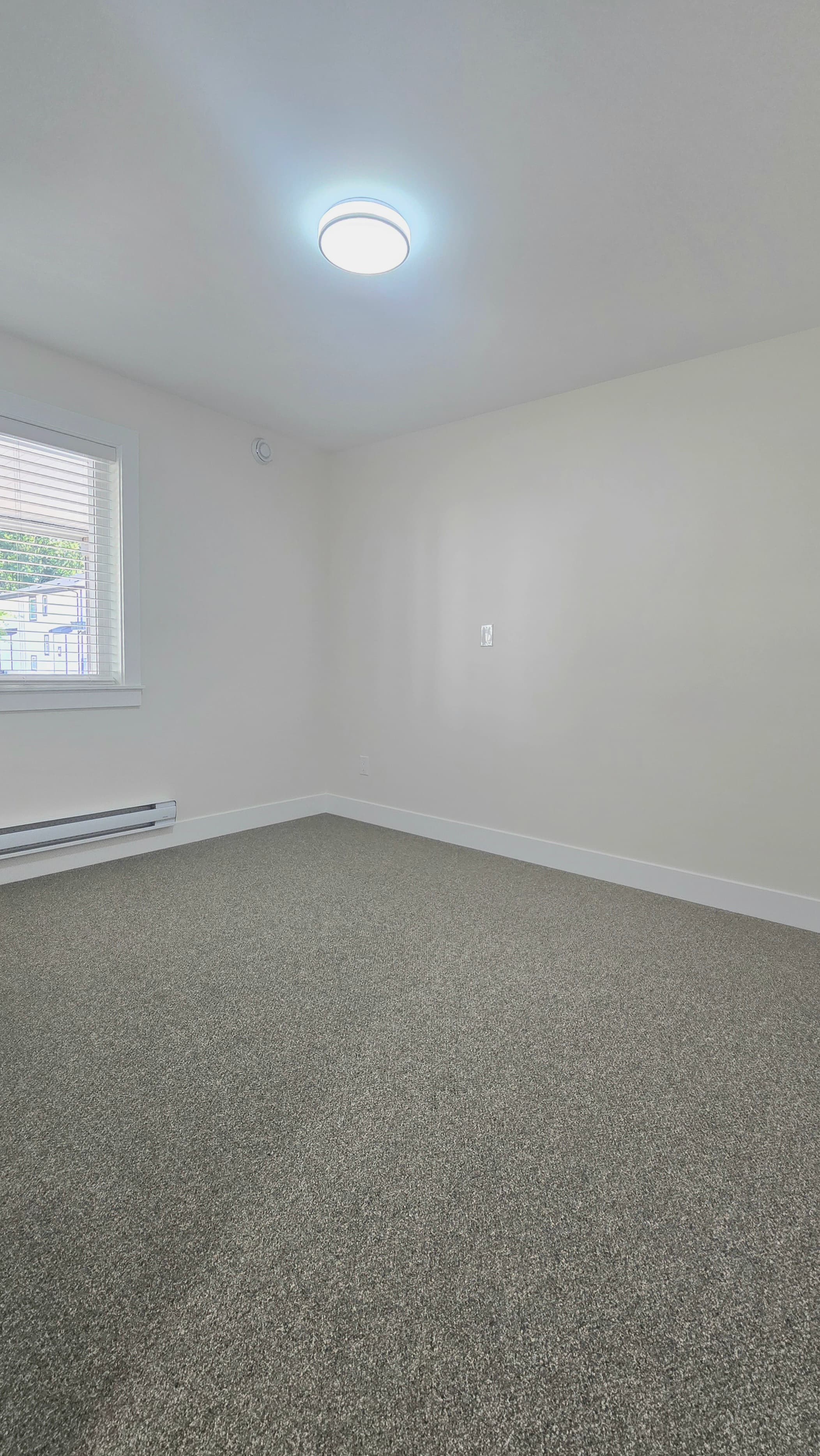 13633 Blaney Rd Maple Ridge - Photo 12