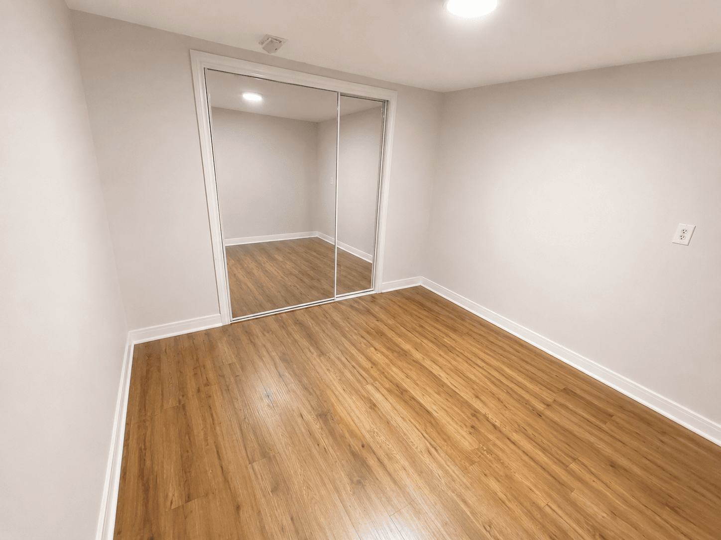 245 Thorner Drive - Basement - Photo 8