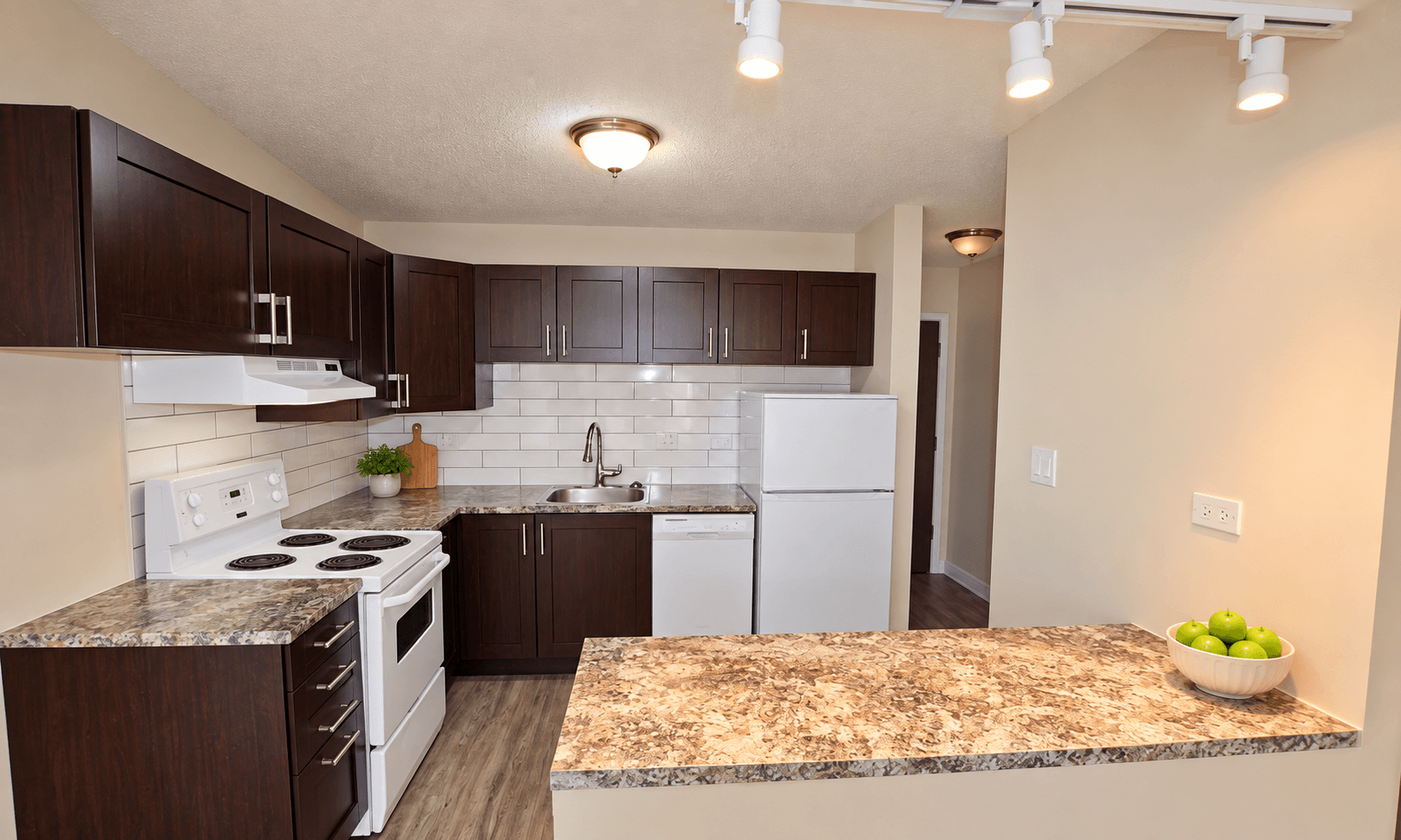 1 Bedroom 1 Bath - Photo 2