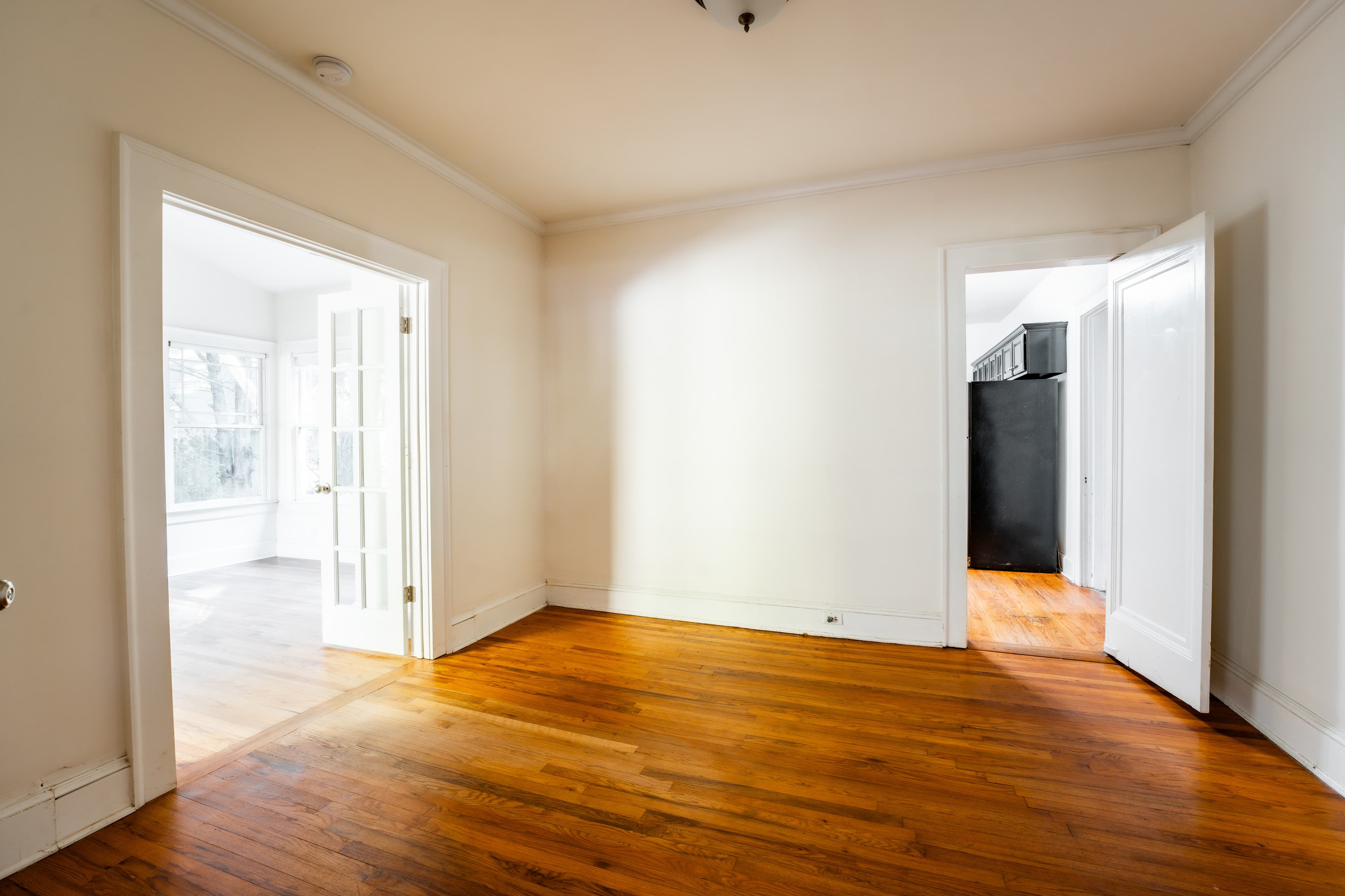 195 Flora - Photo 9