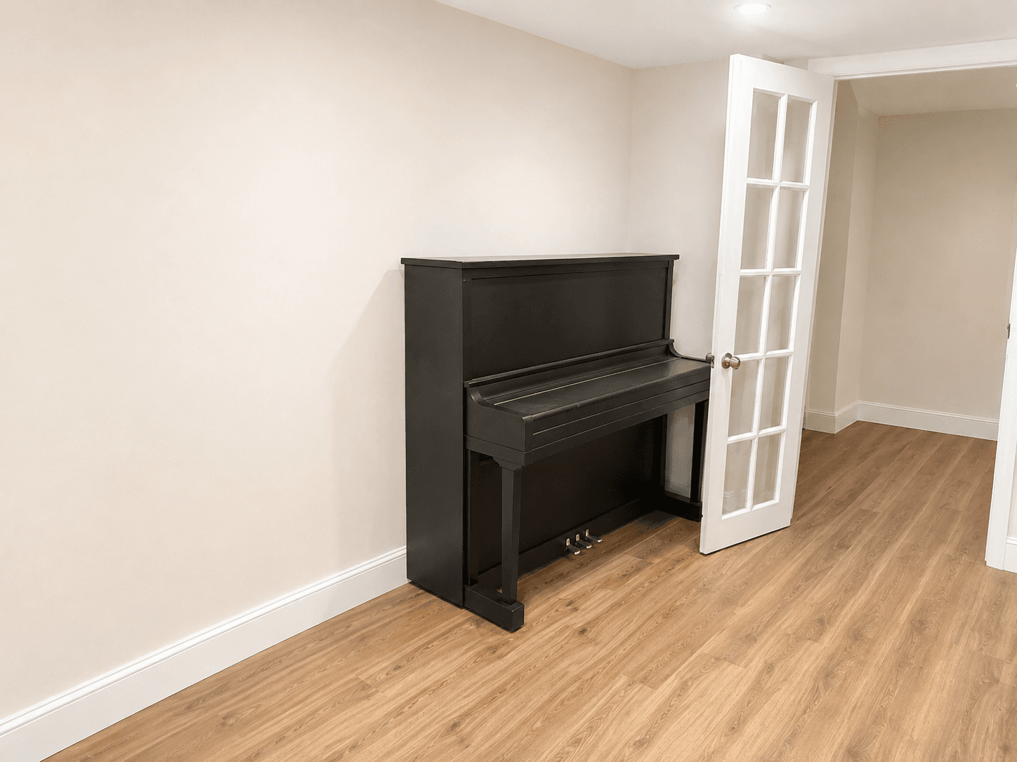 245 Thorner Drive - Basement - Photo 6