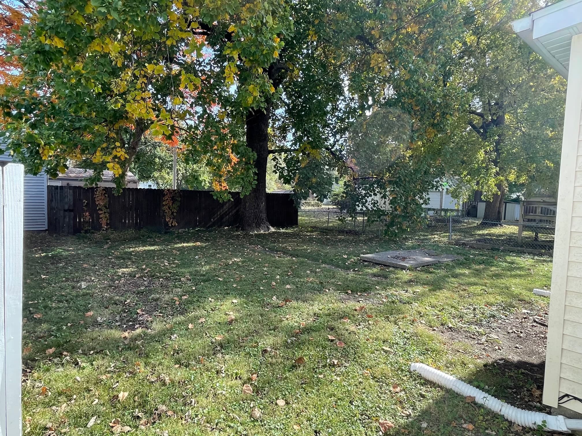 1052 N Ohio - Photo 11