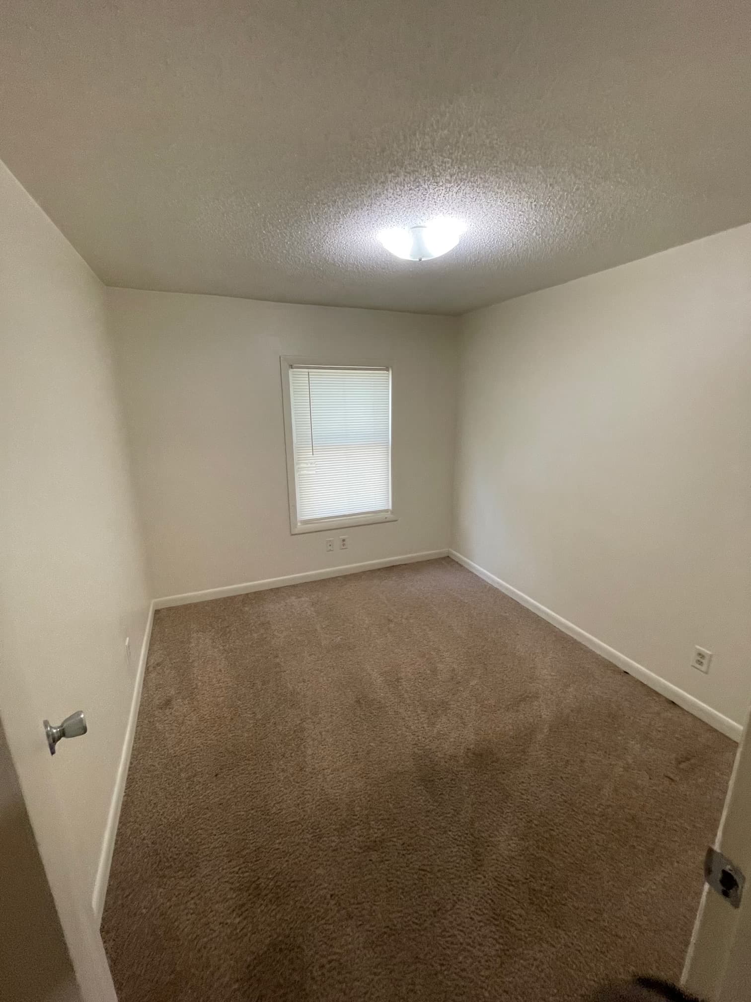 1052 N Ohio - Photo 6