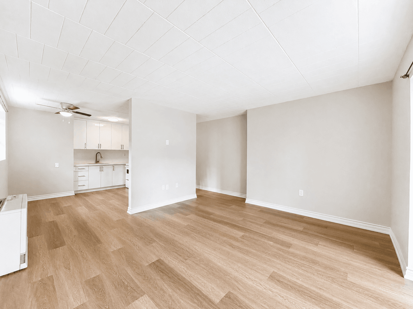 Unit 8 - 19 Empire st - Photo 6