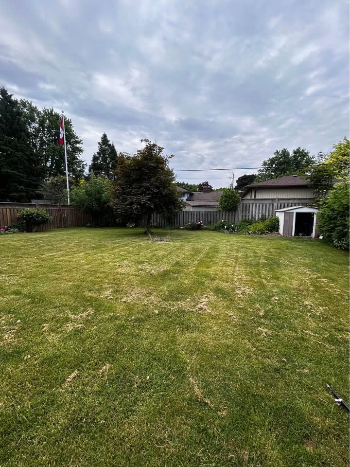 51B Collingdon Drive B Basement Brantford ON - Photo 6
