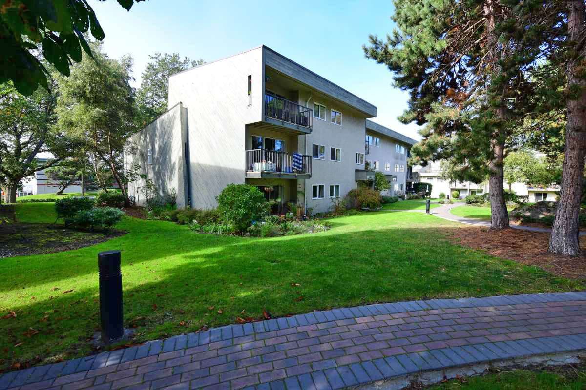 Kamel Point Village Apartments - Photo 12