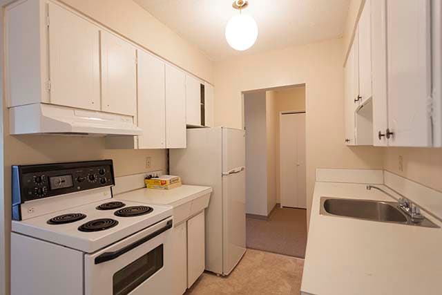Holly Tree Apartments — apartment/condo - Photo 2