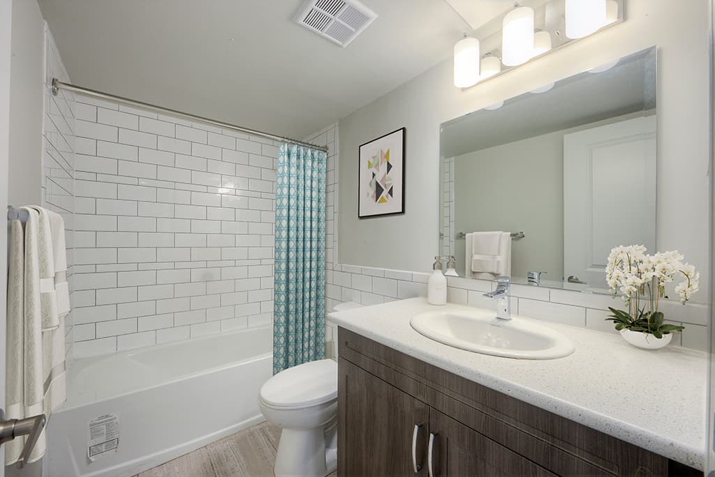 Silver Springs Park 2 — 3 Bedroom Townhouse + Den - Photo 24