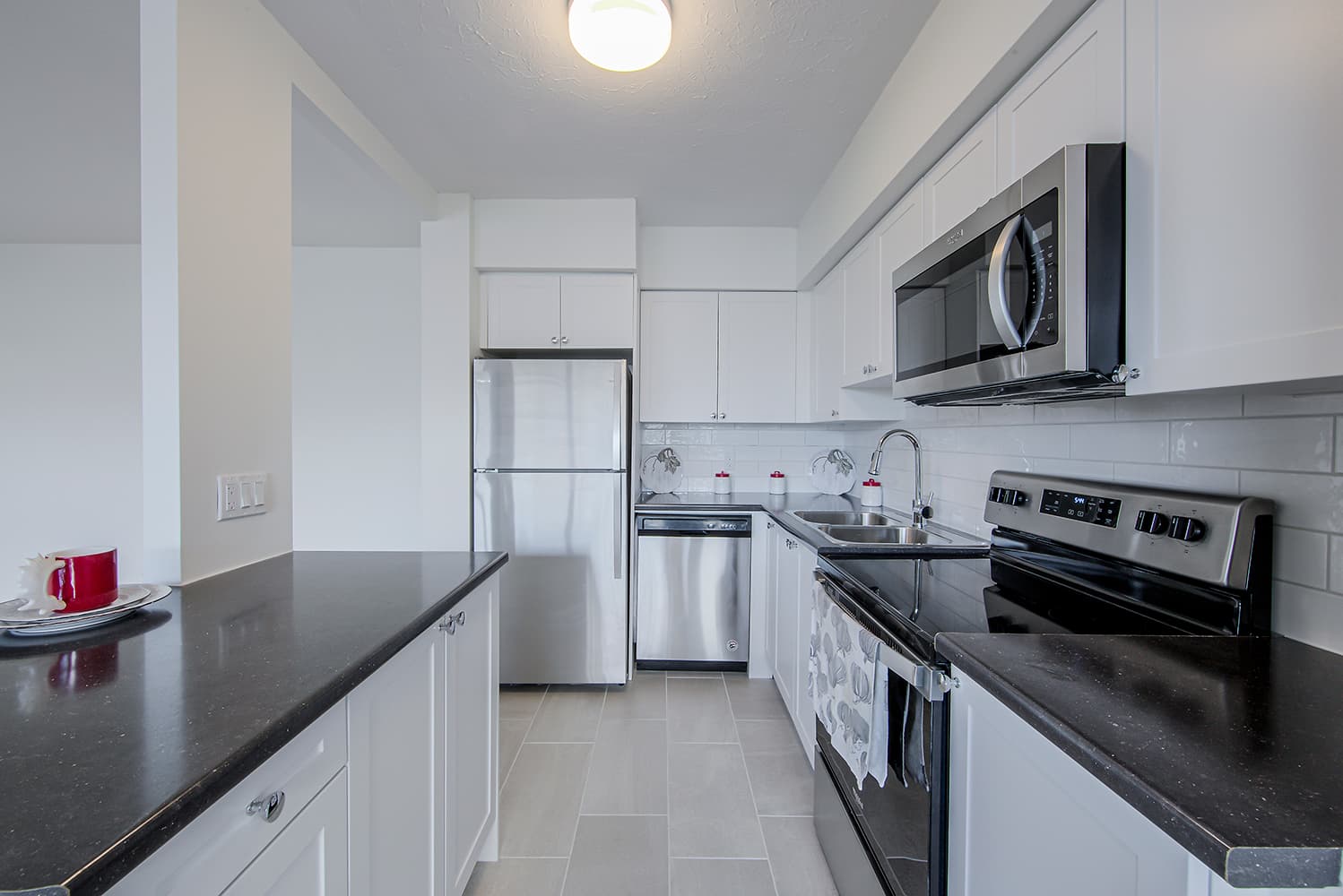 North Shore Towers — 2 Bedroom - Photo 14